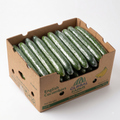 English Seedless Cucumbers
