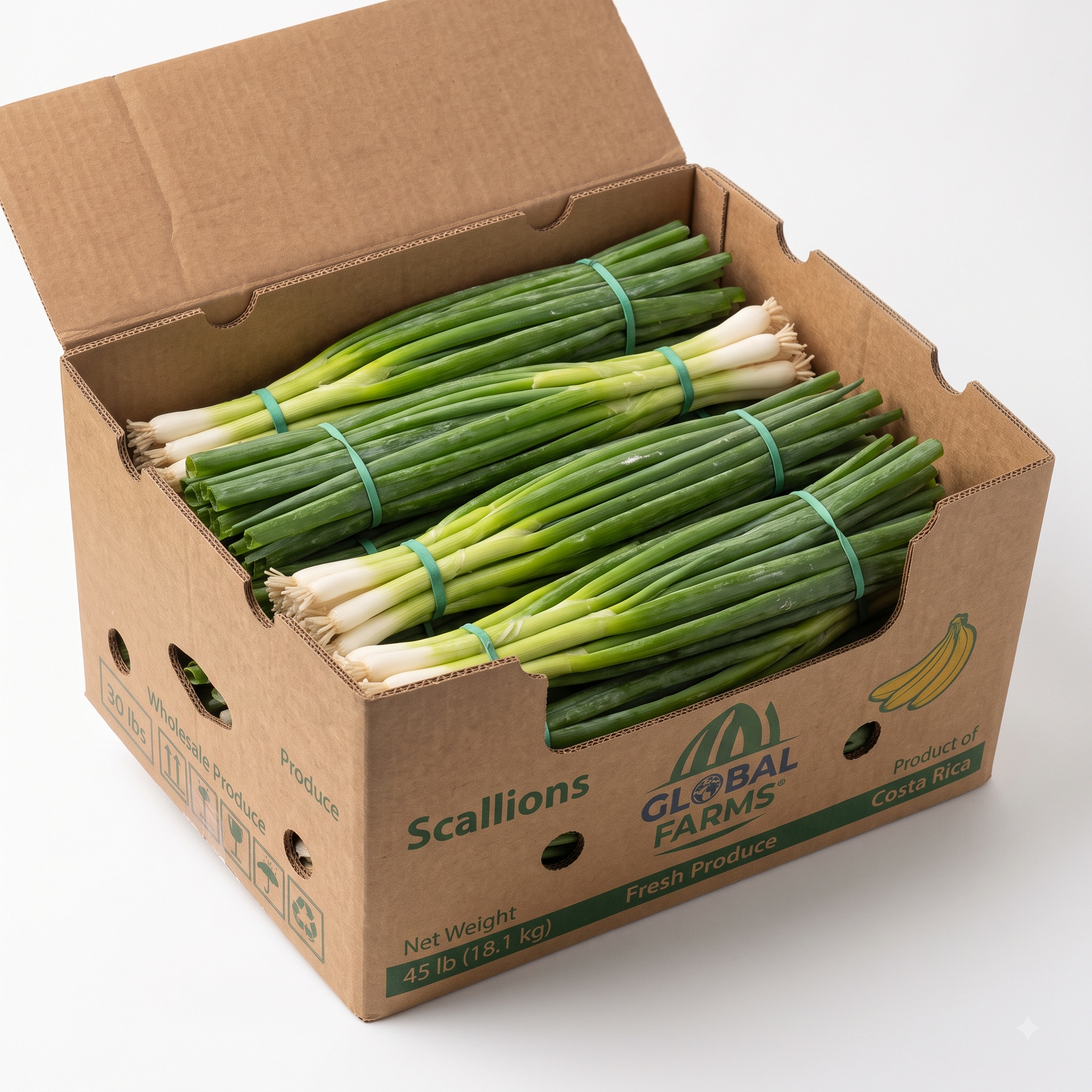 Fresh Green Scallions & Green Onions
