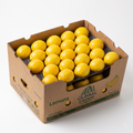 Fresh Persian Limes