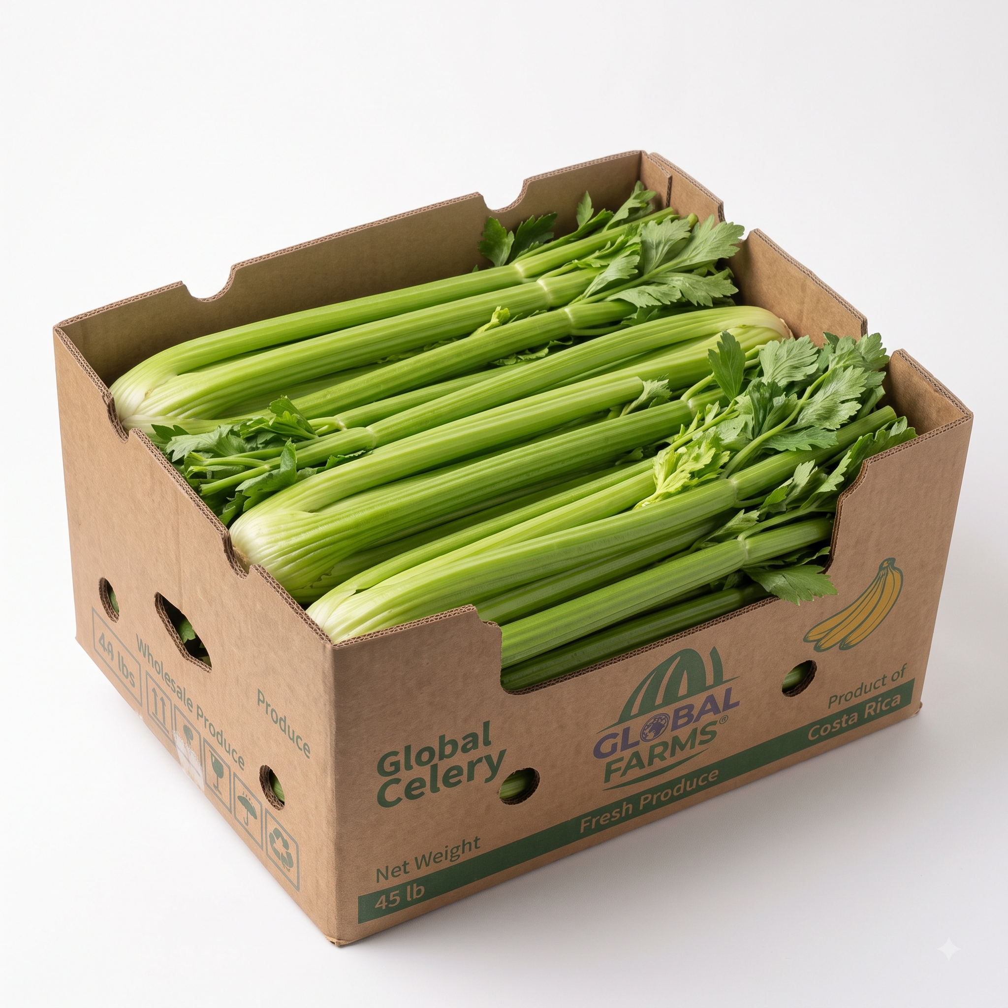 Fresh Pascal Celery